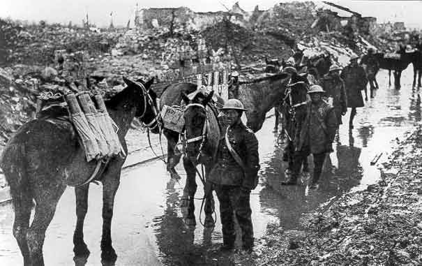 The Disaster of America's Entry in The Great War'