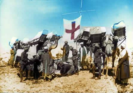 Camel Ambulances