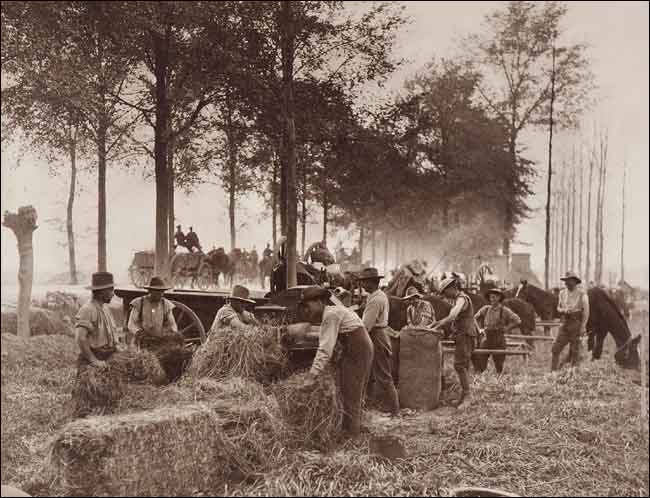 Frank Hurley: Chaff and Labour