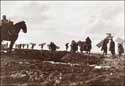 Picture Frank Hurley