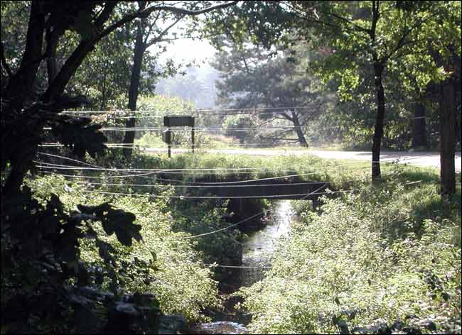 Preserved Electric Fence between Belgium and Holland
