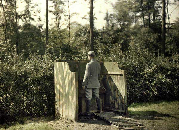 Toilet Camouflaged