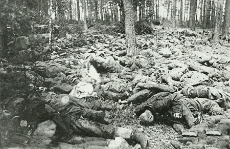 Hundreds of Dead Soldiers