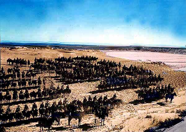Parade of the Australian Light Horse