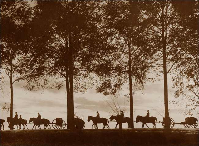 Frank Hurley: Artillery Limbers