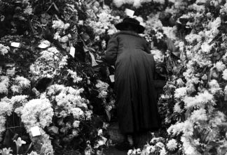 Suicide in the Trenches and Lost Youth