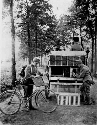 The Dutch Army in Great War – Photo 5