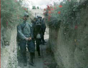 Trench With Poppies