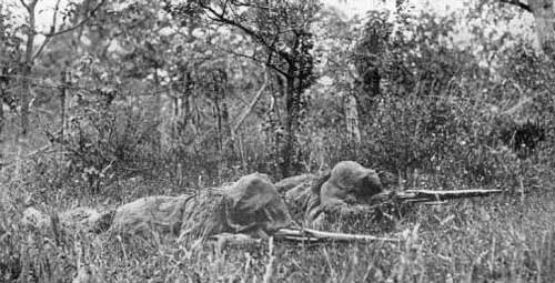 Snipers