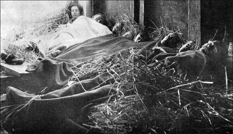 Sleeping in straw