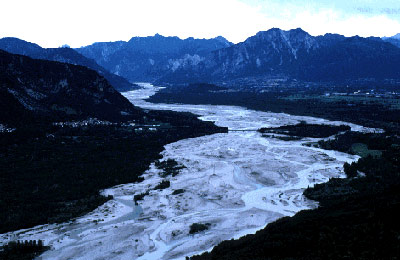 Tagliamento River