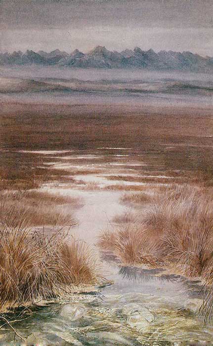 The Journey through the Marshes