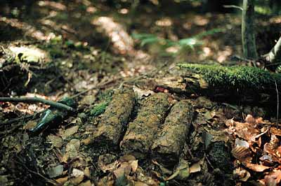 Live munition found near Verdun
