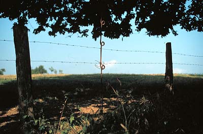 Chemin des Dames, France, 1998