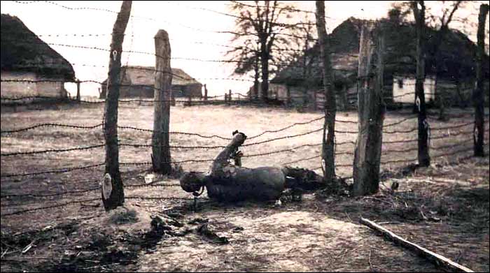 Great War Weekly Picture 15