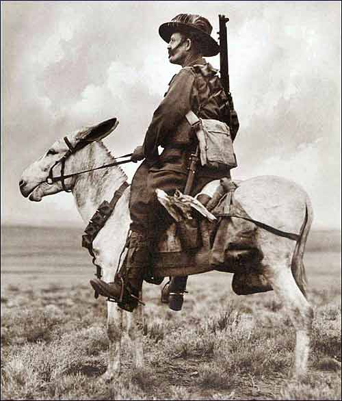 Great War Weekly Picture 94
