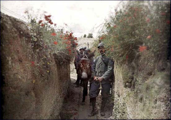 Great War Weekly Picture 98